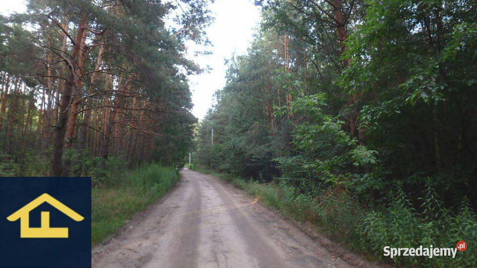 Działka leśna budowlana w Otwocku