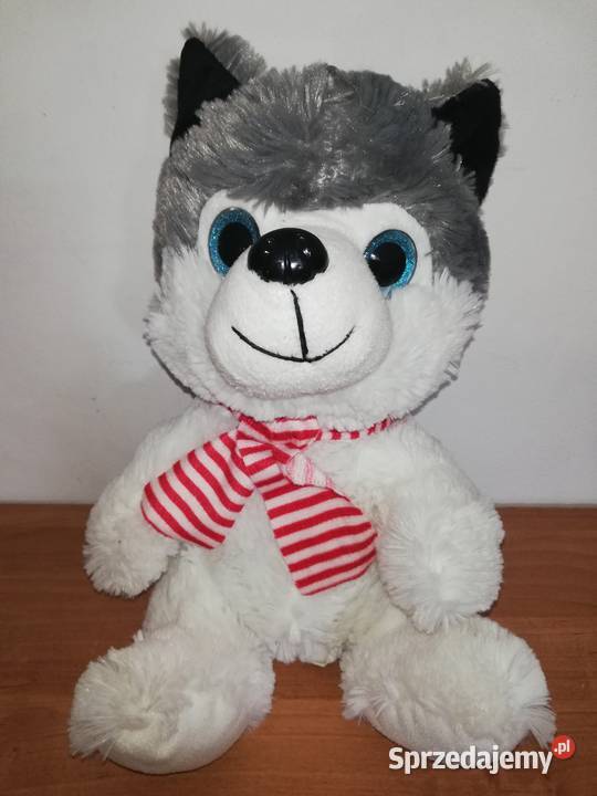 Piesek Haski 30 Nieużywana maskotka Warszawa