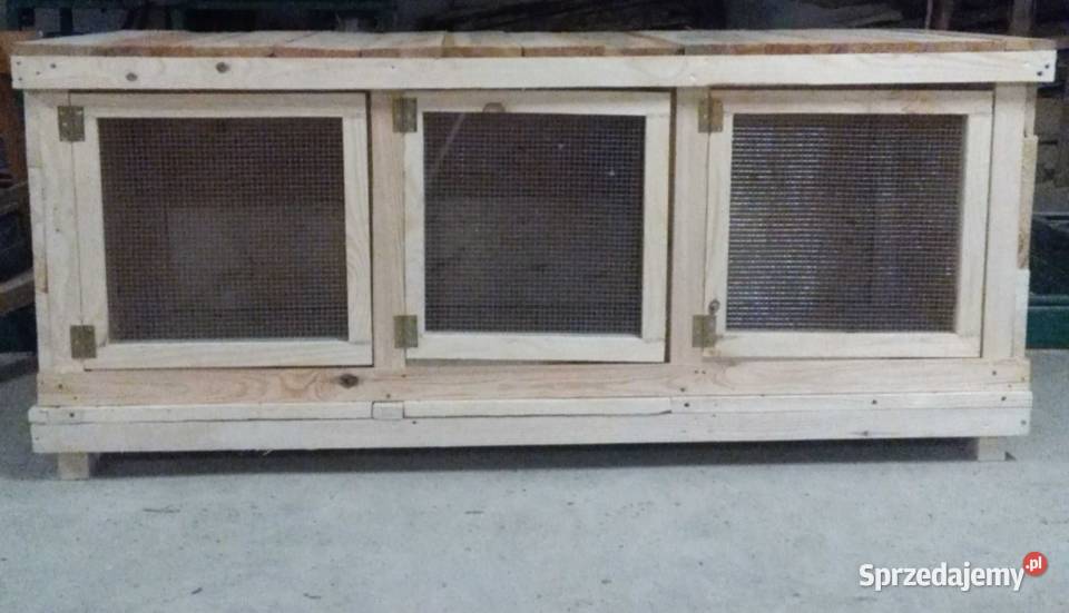 Króliki królik samiec samica klatka transporter Leśna Podlaska