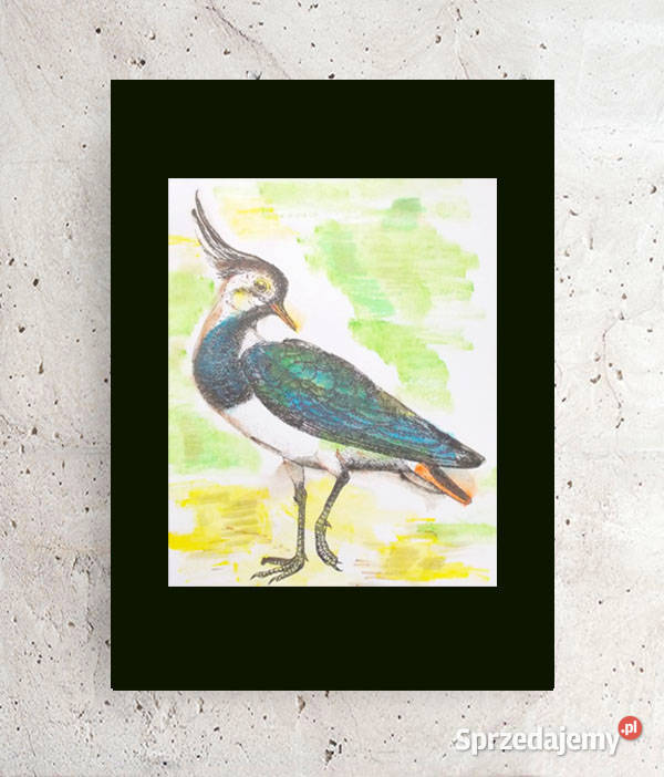 ptaszek plakat A4 retro obrazek z ptaszkiem Opole