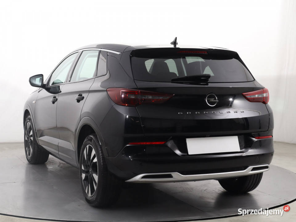 Opel Grandland 12 Turbo elektryczne lusterka Grandland X śląskie