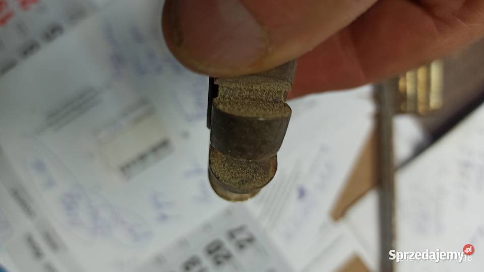 frez wypukły do drewna frezwid lubuskie Kłodawa