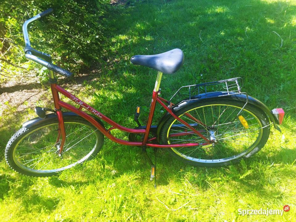 Rower Holland retro Sport i Wypoczynek łódzkie Czechy