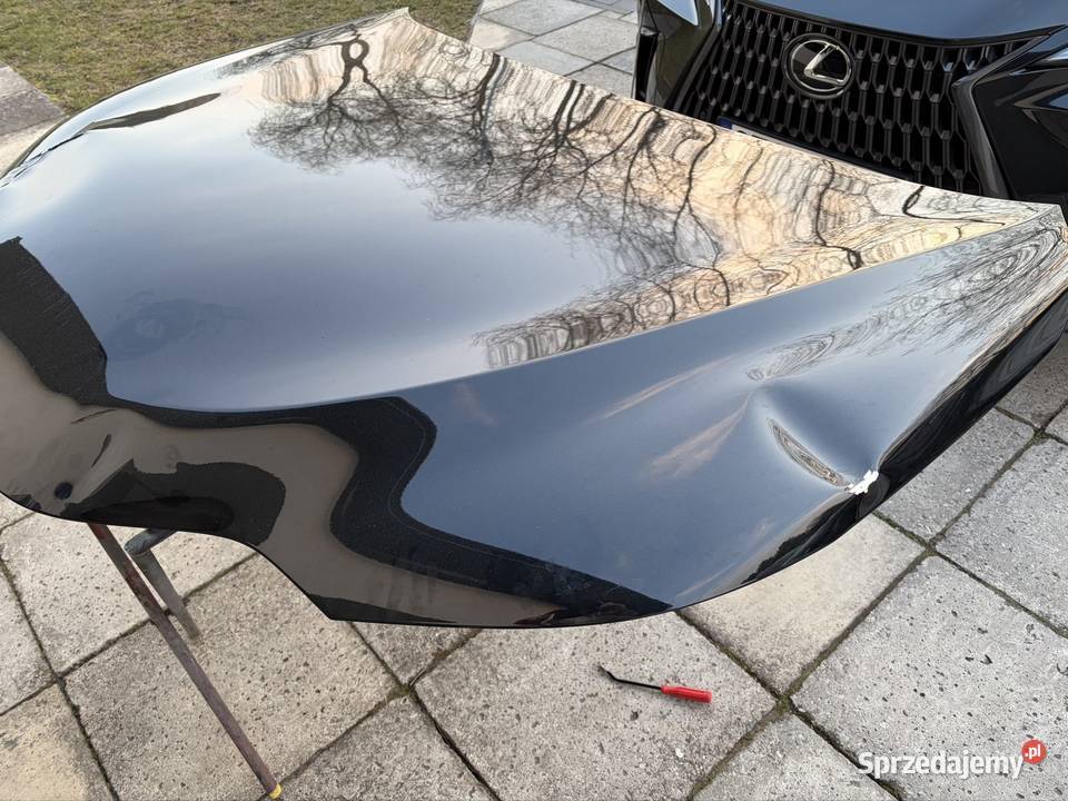 Lexus NX II 20212025 osobowe Bełchatów