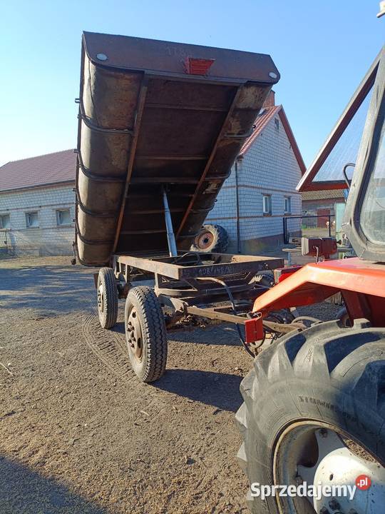 Przyczepa wywrotka Goszczanów