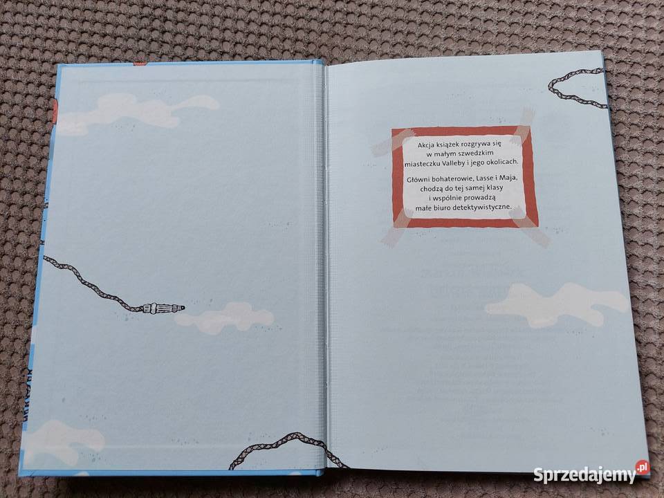 Tajemnica pożarów Martin Widmark Helena Willis Kraków