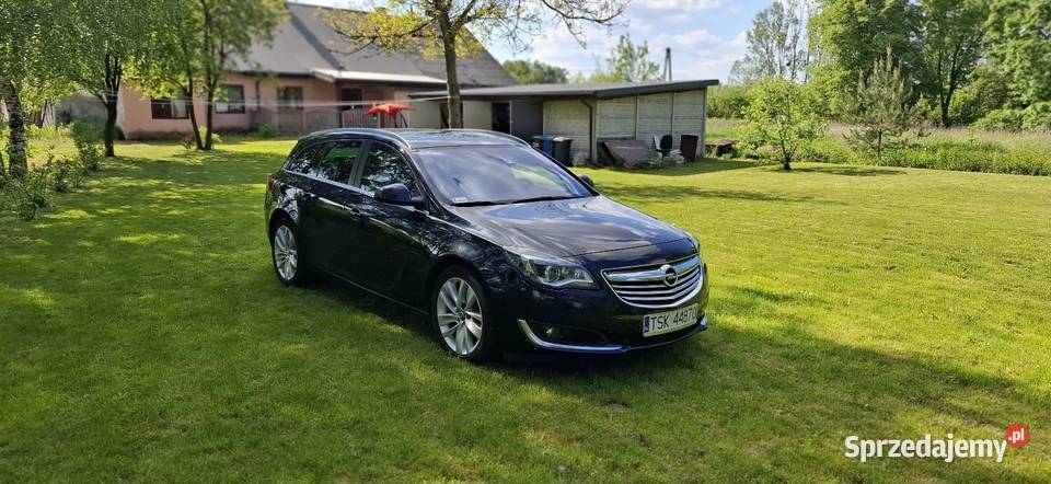 Opel insignia bogata wersja 294000km łódzkie