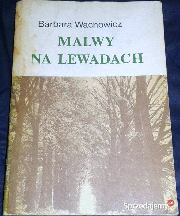 Malwy na lewadach Barbara Wachowicz lubelskie Chełm
