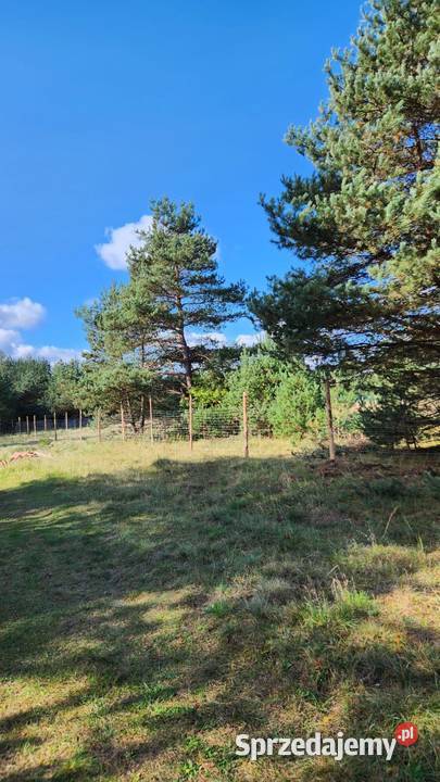 Na sprzedaż działka budowlana Ogrodzieniec 1600m2 śląskie sprzedam