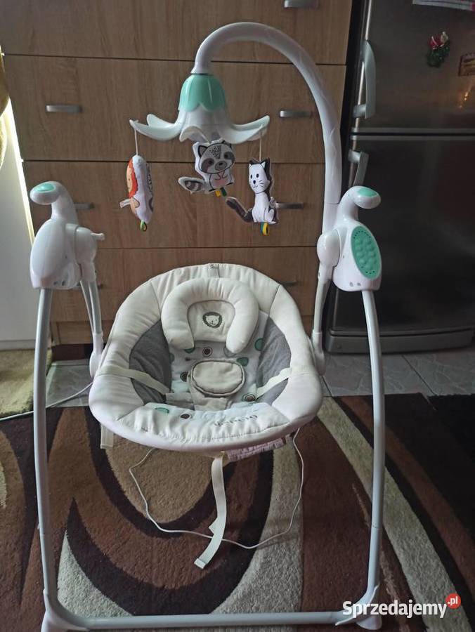 bujaczek Lionelo Robin