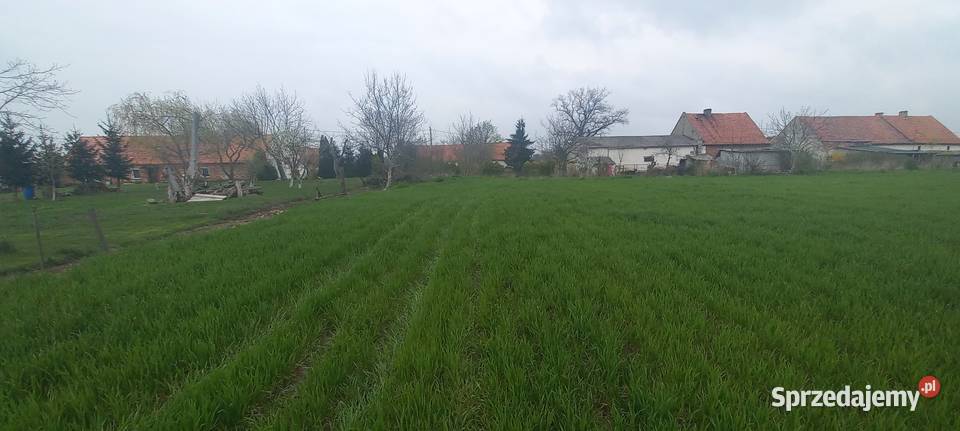 Sprzedam działke budowlaną w Ramułtowicach Ramułtowice