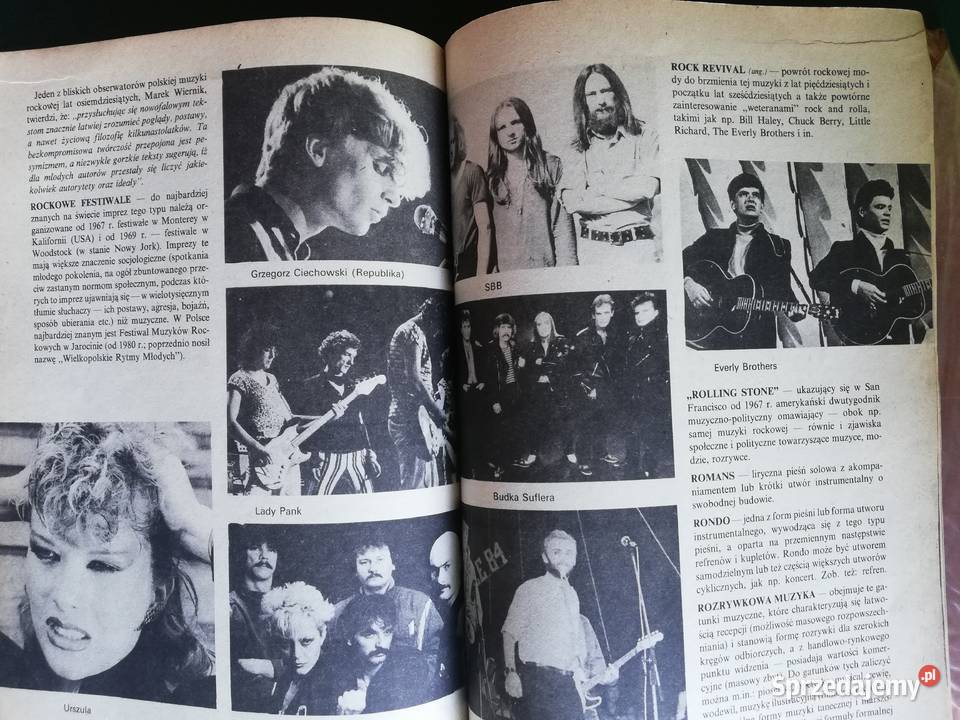 Mały słownik muzyki rozrywkowej Wacław Panek miękka Książki naukowe i popularnonaukowe Kraków