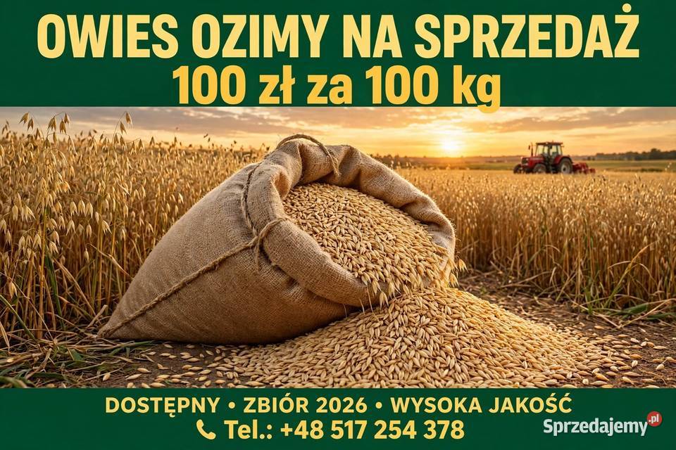 Owies ozimy 2026 podlaskie Czyże