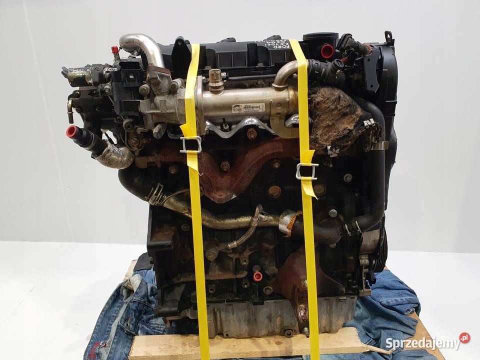SILNIK G6DA Ford Focus II MK2 20 TDCI 136 osobowe lubelskie Rudka