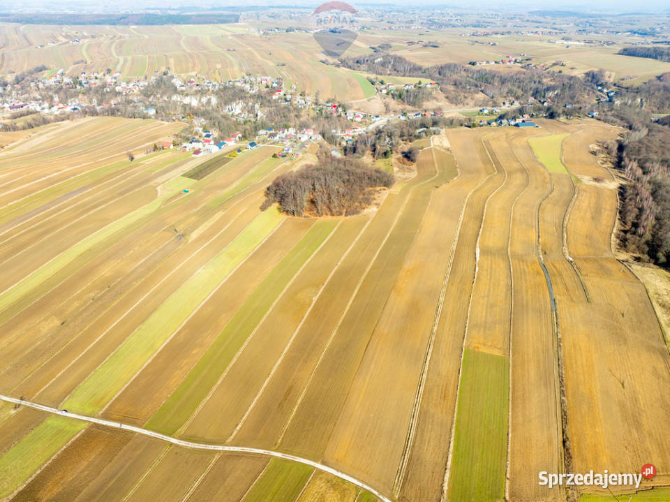 Działki rolne w pięknej okolicy Sułoszowa