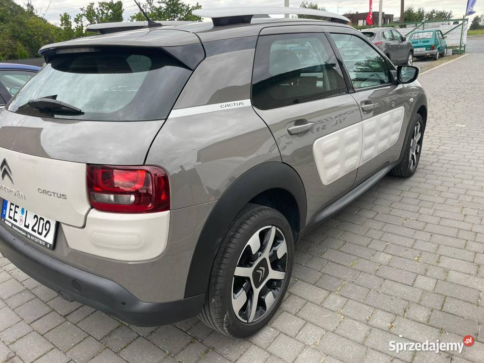 Citroen C4 cactus Shine nieuszkodzony Przegędza
