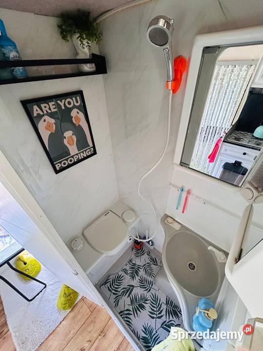 Sprite Alpine Przyczepa remoncie DMC 1060 Tenczynek