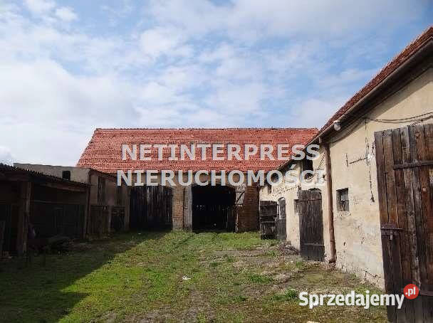 sprzedaży lokalu 6820m2 Poznań