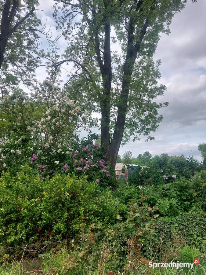 Dziaka rekreacyjna 296m2 lubelskie Lublin