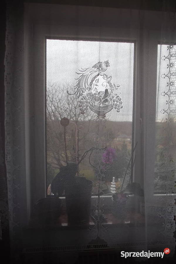 Mała firanka żakard papuga szer123 wys162 Piekary Śląskie