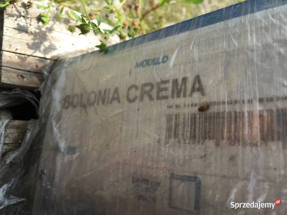 Glazura płytka ścienna bolonia grano i bolonia Reguły