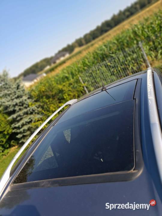 Peugeot 1007 Malec