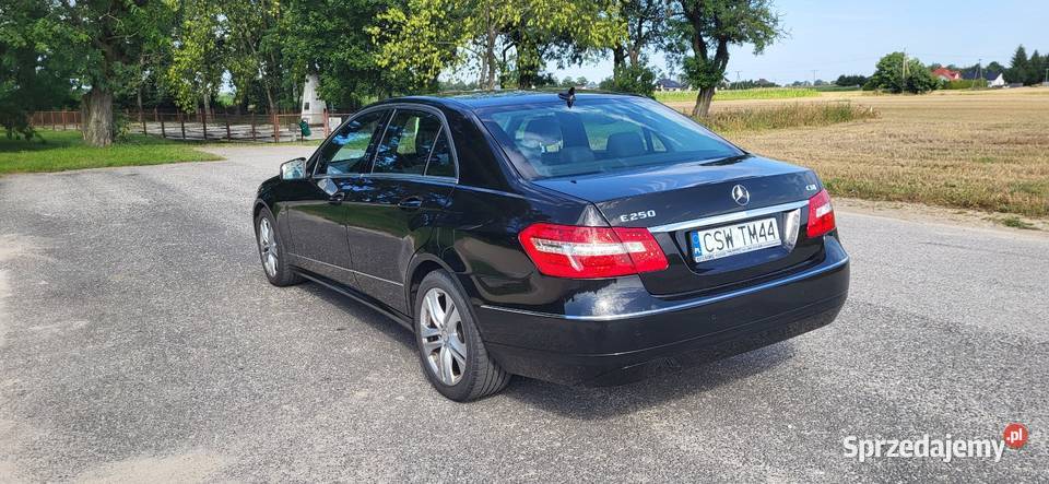 Mercedes E klasa 250 250 Świecie