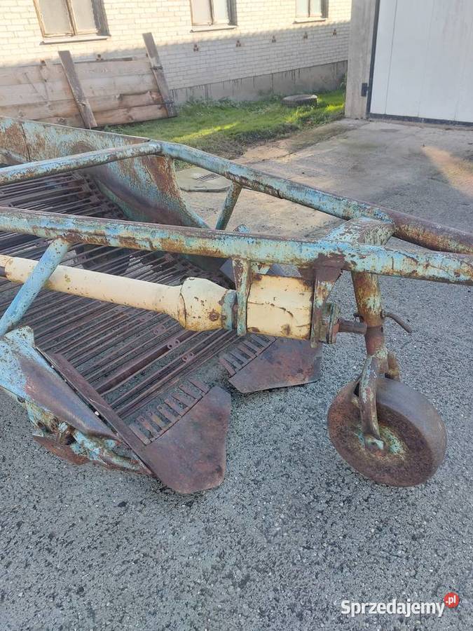 Kopaczka elewatorowa do ziemniaków nieuszkodzony Łosice