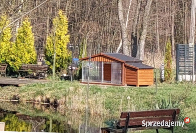 buda kojec koks klatka psa łódzkie Skierniewice