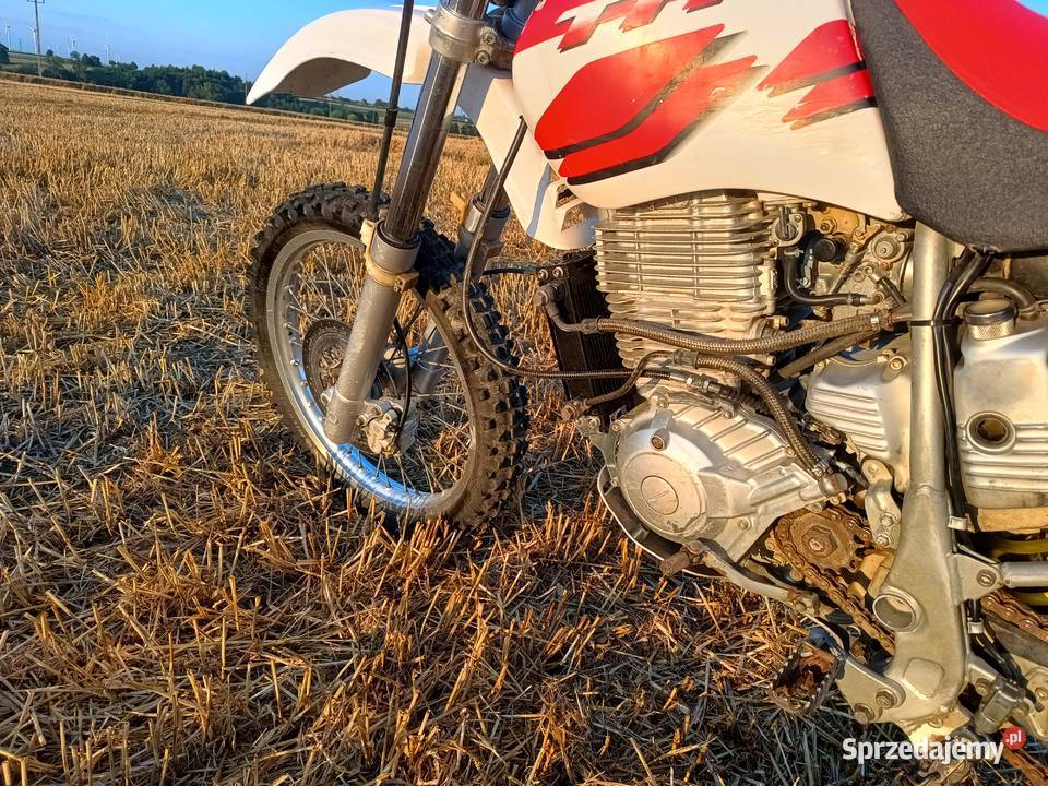 Yamaha TTR 600 Belgarda TT600 XT600 TT600R Hard Łańcut