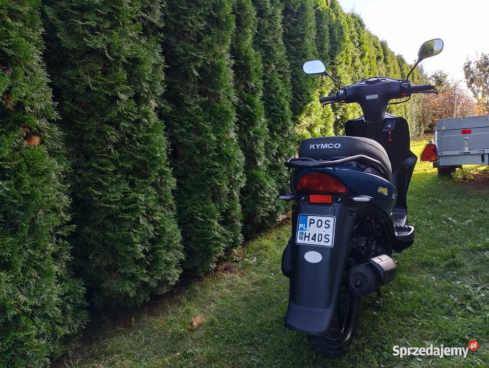 Kymco Agility 50 CC 4T 2023r Raszków