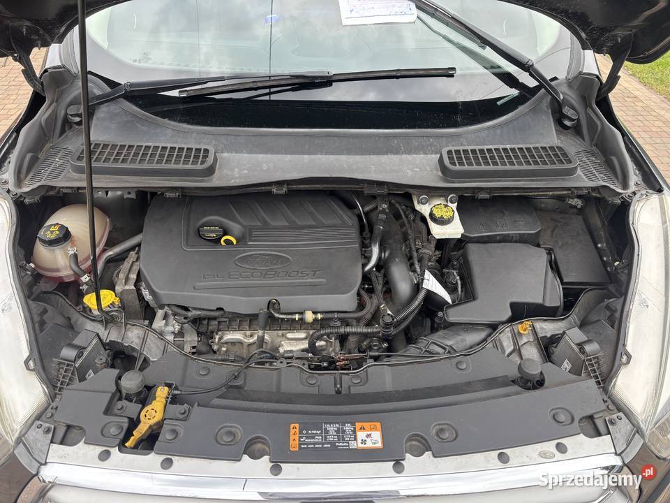 Ford KUGA 15l benzyna 180 automat Kuga