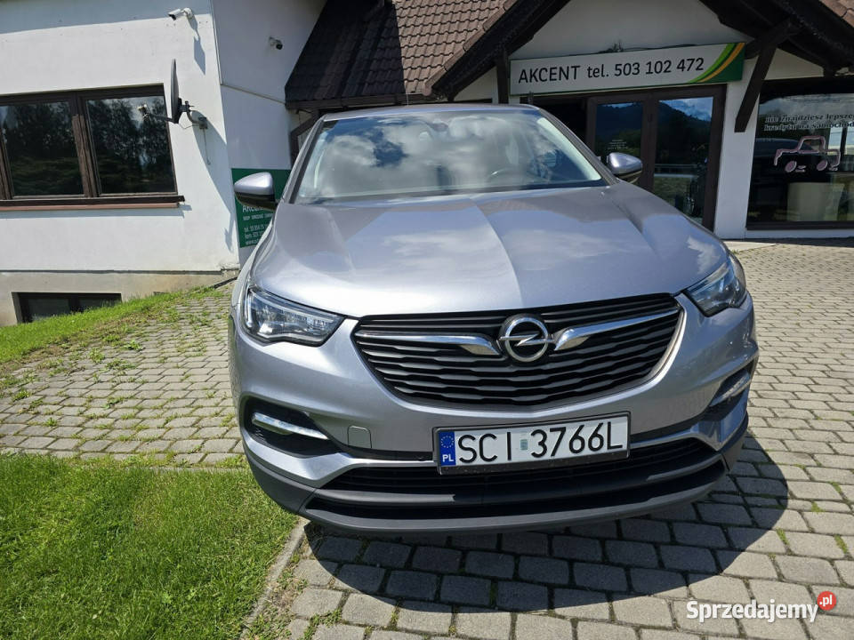 Opel Grandland X kamera cofania Ustroń
