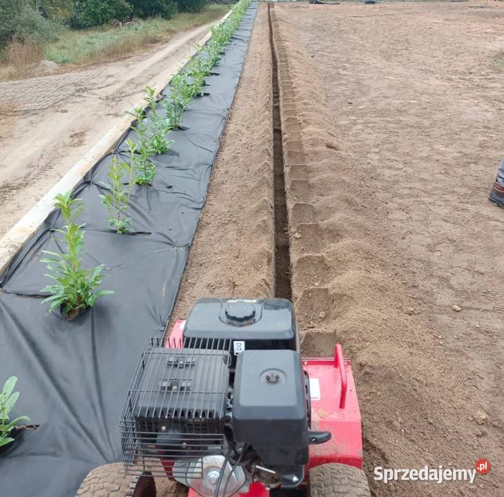 Wykop liniowy koparka łańcuchową pod nawodnienie