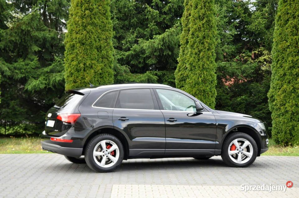 Audi Q5 20TDI177LiftXenonLedNaviKeyless nieuszkodzony mazowieckie