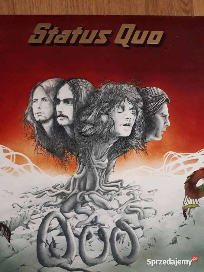 Płyty winylowe kolekcja rock Rzeszów