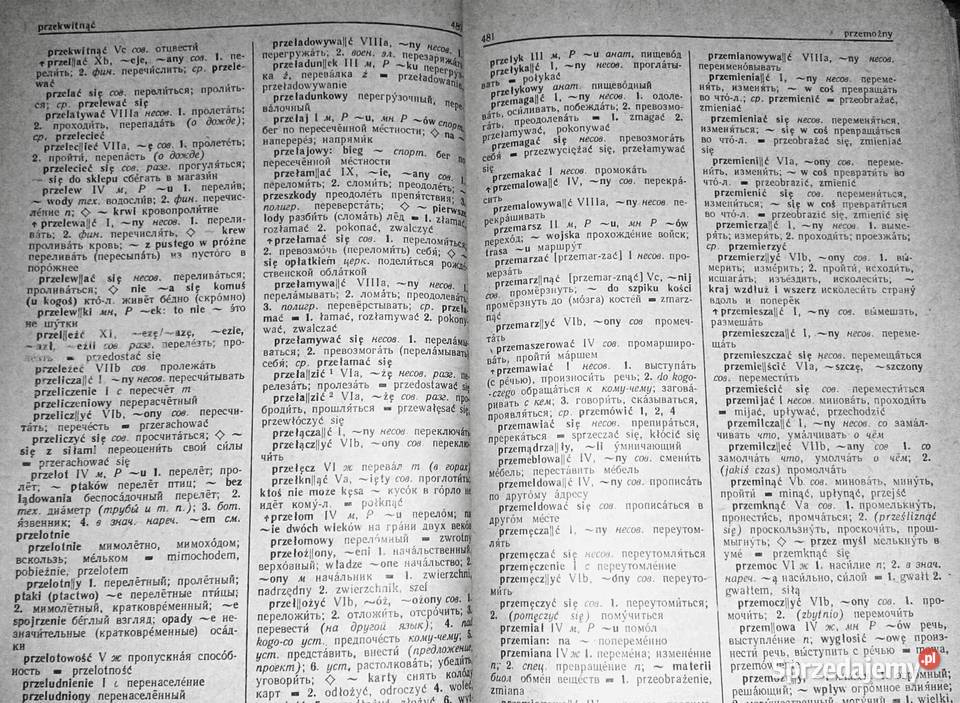 Podręczny słownik polskorosyjski Ryszard Stypuła lubelskie Chełm