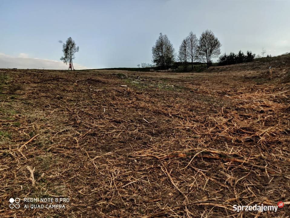 Działka rolnobudowlana 5600m2 Leśna MEDIA Tuchów Sprzedaż małopolskie