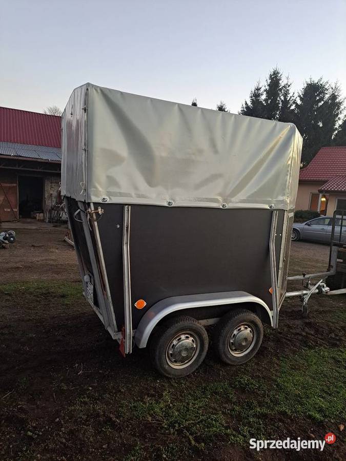 Przyczepka przyczepa do przewozu zwierząt koni