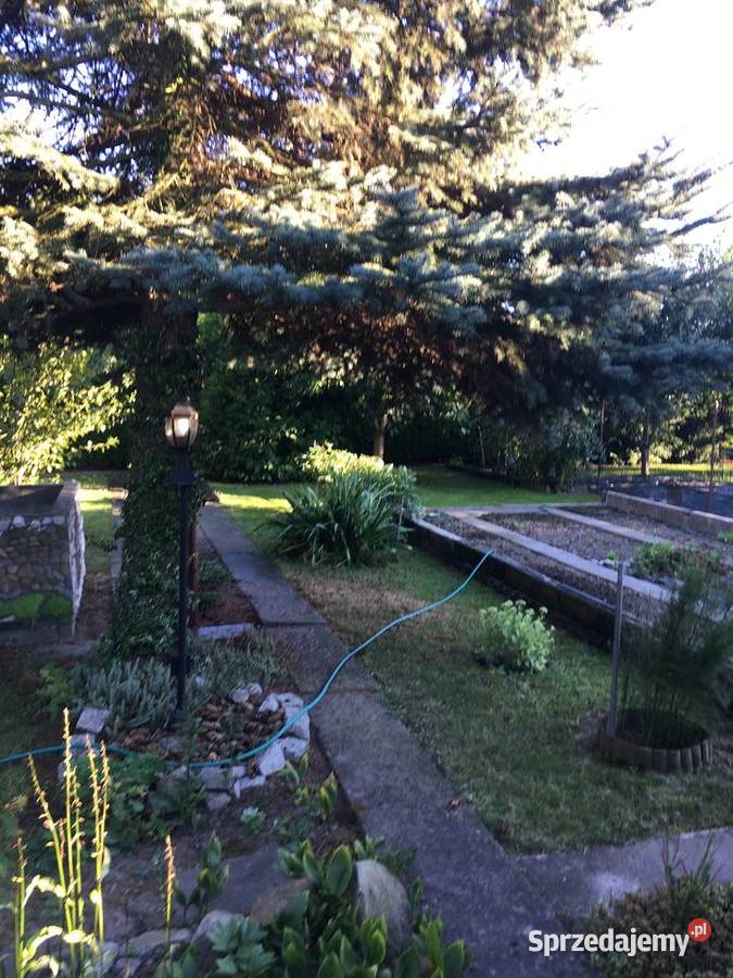 Działka rekreacyjna ROD witaminka Oświęcim Zaborze