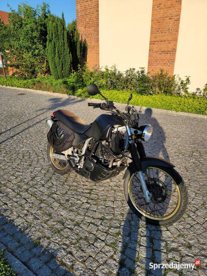 Transalp 600 1997 custom scrambler Honda Wrocław