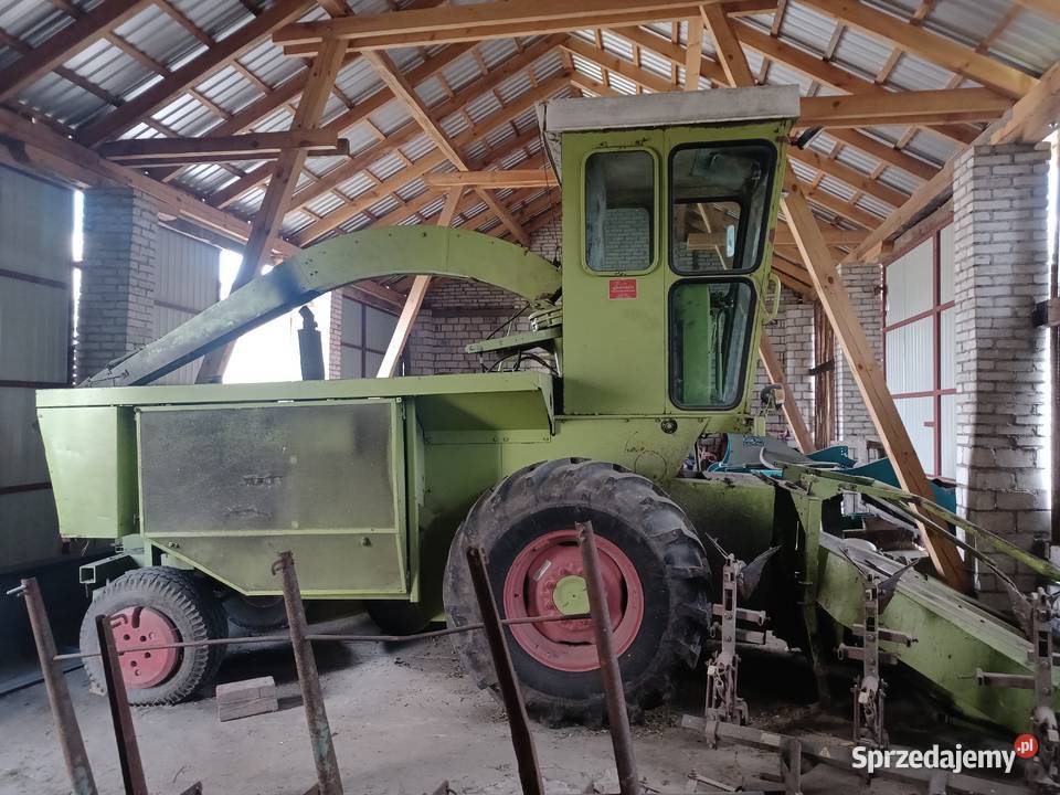 Sieczkarnia Samojezdna Claas Jaguar 70SF 3 rzędy Samojezdne Rzeczyca
