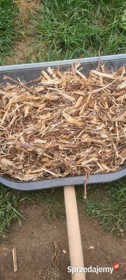 Rozdrabniacz do galezi Jasienna sprzedam