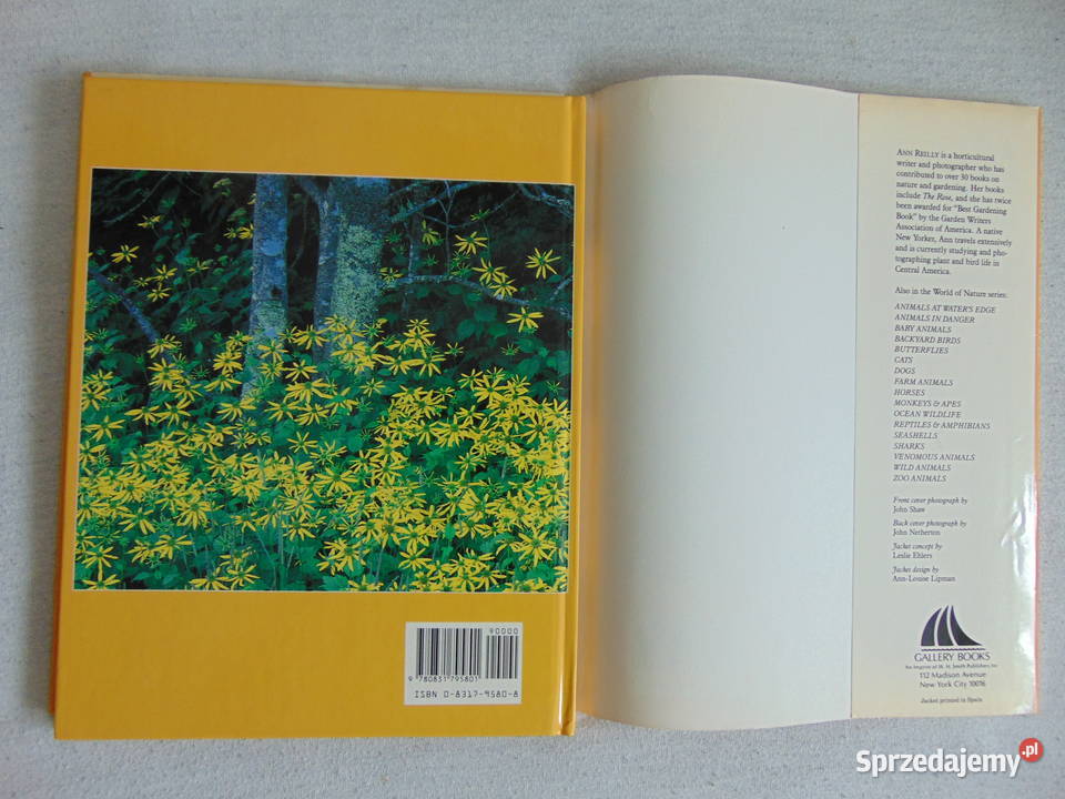 Album Wild Flowers Ann Reilly przyroda, krajobrazy Lublin