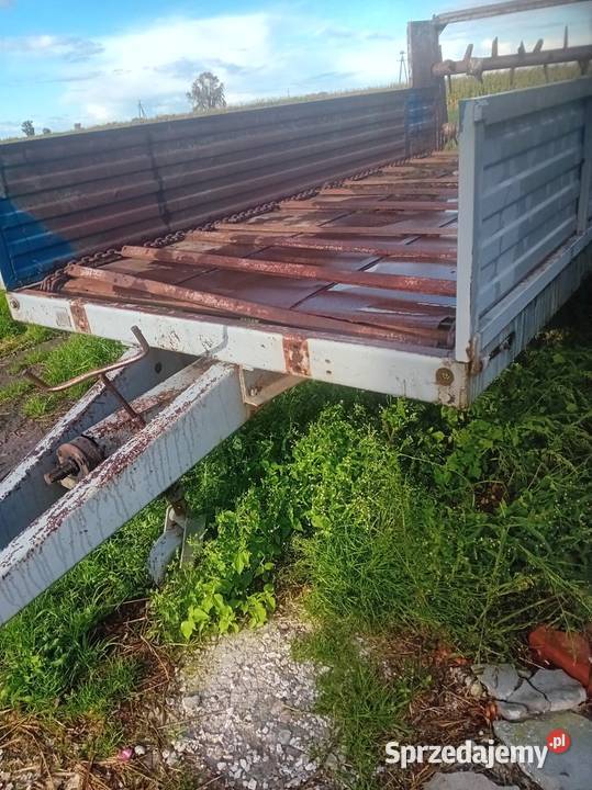 Sprzedam troll i rozrzutnik Łęczyca