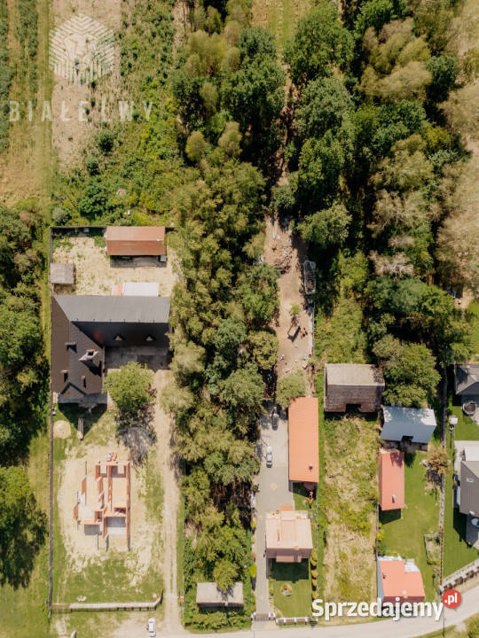 Działka 5200m2 Mucharzew asfalt