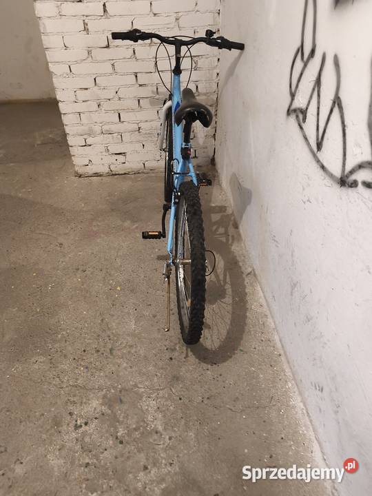 Rower team raider Koszalin