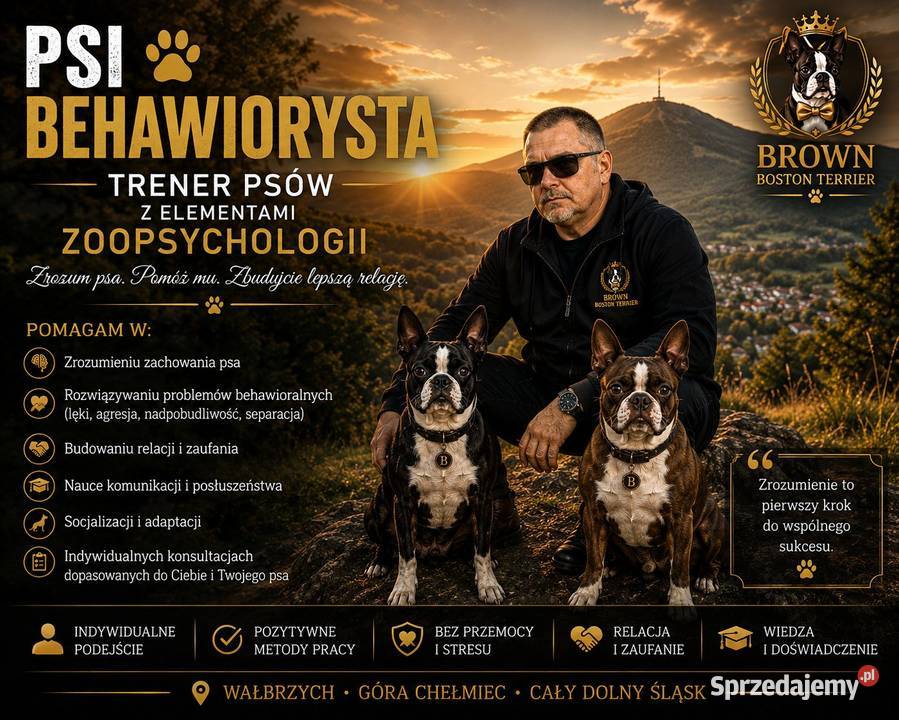 Behawiorysta psi trener z elementami Dla zwierząt Wałbrzych