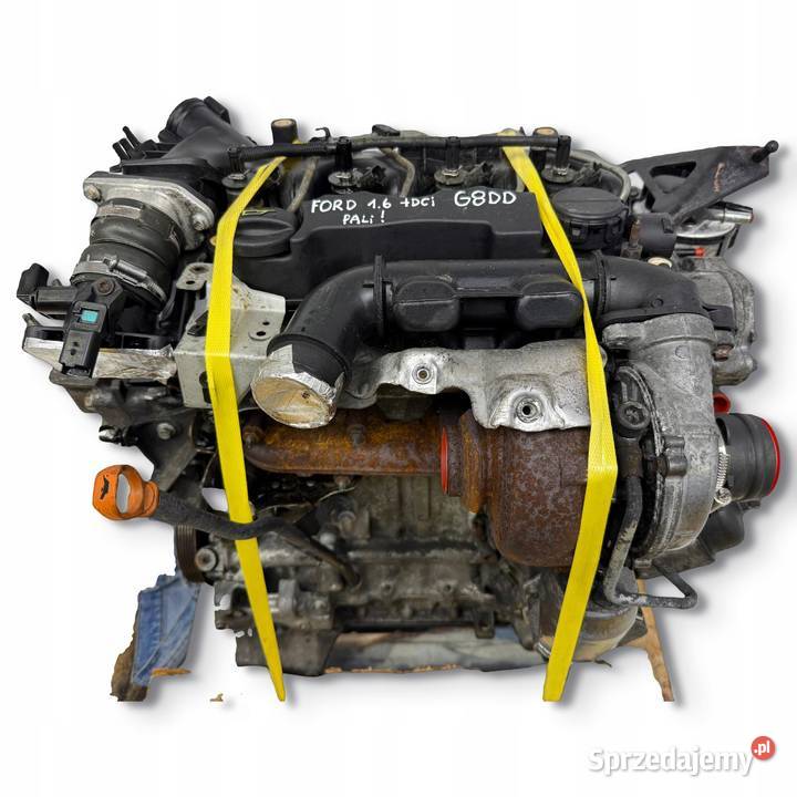 SILNIK KOMPLETNY G8DD Ford Focus II MK2 C C 16 lubelskie Chełm