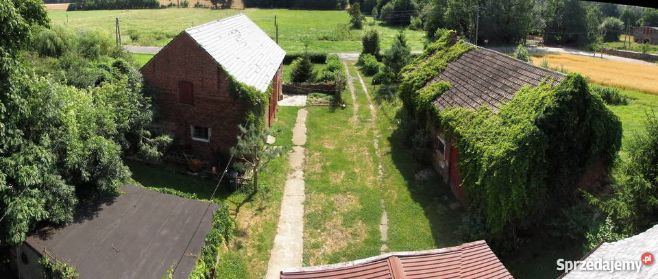 Dom z zabudowanym poddaszem sprzedam do zamieszkania Borów Wielki